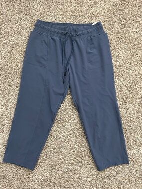 prAna Blue Cropped Hiking Pants Medium Capris Women’s Travel Hiking M